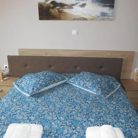 Spλces ピュロス